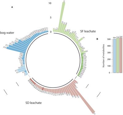 Effects of Sphagnum Leachate on Competitive Sphagnum Microbiome Depend on Species and Time